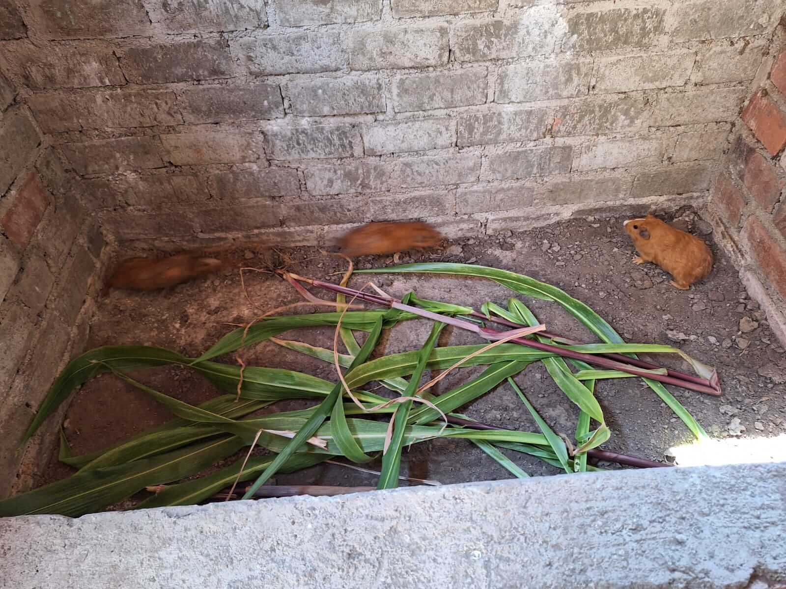 Trabajo 1